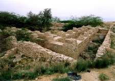 گورستان باستانی  سیراف  واقع در شهر بندر  بوشهر