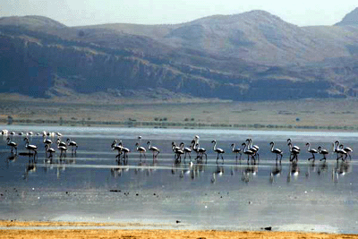 دریاچه های طشک و بختگان واقع در شهر ني  ریز