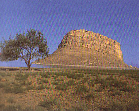 قلعه کاظم داشی (کاظم خان ) 